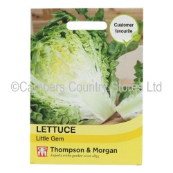 Thompson & Morgan Lettuce Little Gem
